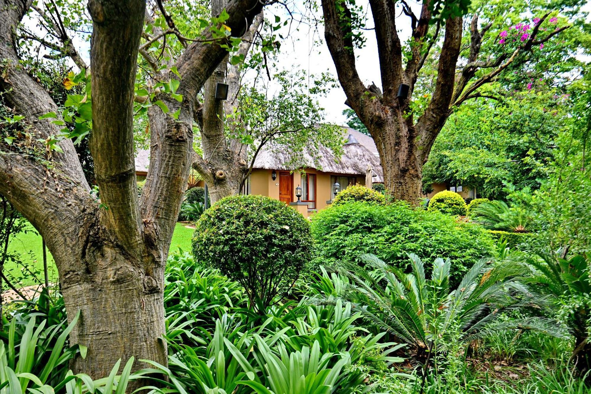 Hotel Black Eagle & 4*